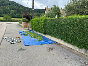 Photo de galerie - Présentation de Taille haie 