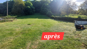 Photo de galerie - Tonte de pelouse 