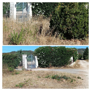 Photo de galerie - Débroussaillage et enlèvement arbuste