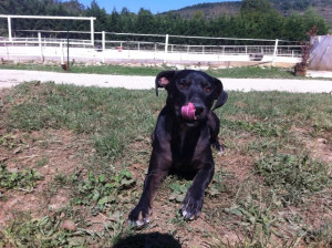 Photo de galerie - Hélios 