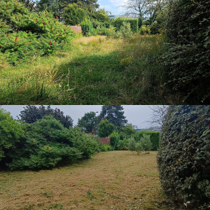 Photo de galerie - Tonte de pelouse - Débroussaillage