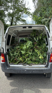 Photo de galerie - Jardinier