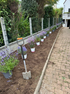 Photo de galerie - Paysagiste - Aménagement du jardin