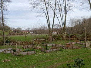 Photo de galerie - Aménagement d'un potager. 