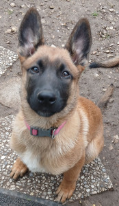 Photo de galerie - La petite dernière 