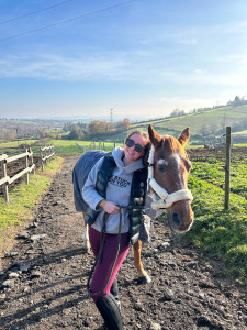 Photo de galerie - Pension chevaux