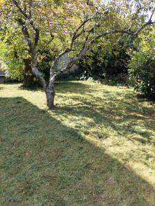 Photo de galerie - Entretien d' un petit terrain au Rotofil 