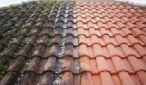 Photo de galerie - Couverture - Toiture