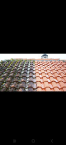 Photo de galerie - Demoussage traitement hydrofuge .