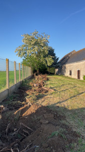 Photo de galerie - Elagage et coupe d'arbres