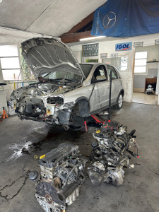 Photo de galerie - Remplacement du moteur avec un kit de chaîne neuf et remplacement du kit d'embrayage en même temps. asion 