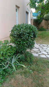 Photo de galerie - Taille 