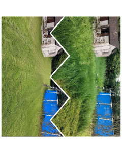 Photo de galerie - ? Avant / Après
Tonte complète et débroussaillage d'un terrain envahi par les herbes hautes.
Résultat : un extérieur propre, dégagé et facile à entretenir de nouveau. ✅
? Devis gratuit – DT Multiservices