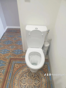 Photo de galerie - Installation de wc 