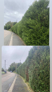 Photo de galerie - Haie 