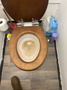 Photo de galerie - Débouchage des toilettes 