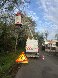 Photo de galerie - Paysagiste - Aménagement du jardin