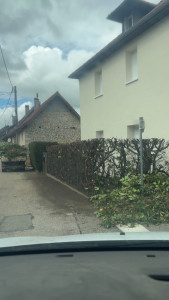 Photo de galerie - Rabattage d’une Haie de laurier