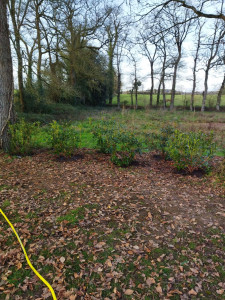 Photo de galerie - Jardinier