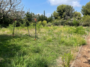 Photo de galerie - Paysagiste - Aménagement du jardin