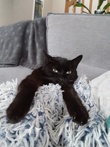 Photo de galerie - Pet sitter