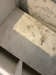 Photo de galerie - Nettoyage d’une armoire de cuisine après incendie 