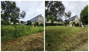 Photo de galerie - Débroussaillage JUIN 2025