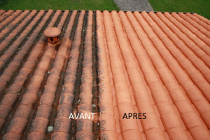 Photo de galerie - Couverture - Toiture