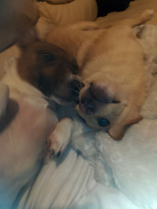 Photo de galerie - C'est beau l'amour !