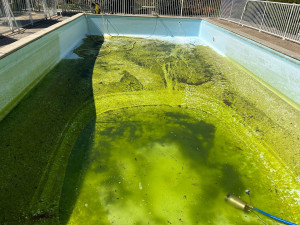 Photo de galerie - Nettoyer 