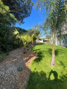 Photo de galerie - Aménagement paysager 