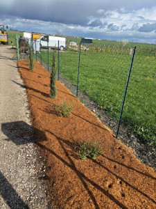 Photo de galerie - Création d’un massif 