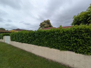 Photo de galerie - Avant 