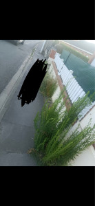 Photo de galerie - Avant 