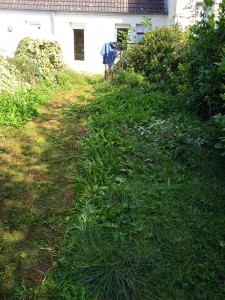 Photo de galerie - Tonte de pelouse - Débroussaillage