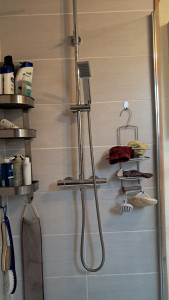 Photo de galerie - Changement d'un mitigeur de douche