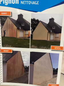 Photo de galerie - Démoussage 