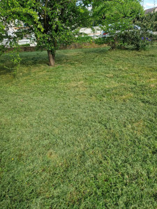 Photo de galerie - Journée tonte 