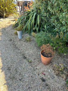 Photo de galerie - Jardinier