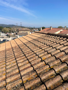 Photo de galerie - Nettoyage de toiture 