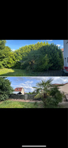 Photo de galerie - Elagage et coupe d'arbres