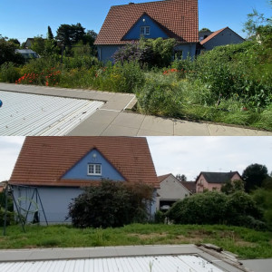 Photo de galerie - Débroussaillage d’un jardin à l’abandon 