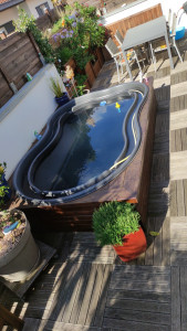 Photo de galerie - Création d'un bassin sur terrasse 
