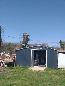 Photo de galerie - Suite 