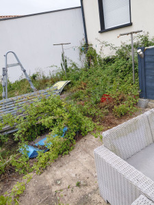 Photo de galerie - Debroussaillage d'un jardin plus tonte de la pelouse. 