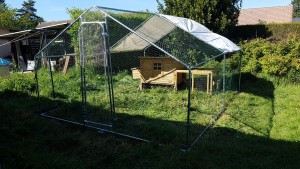 Photo de galerie - Poulailler 