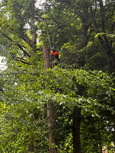 Photo de galerie - Démontage ?