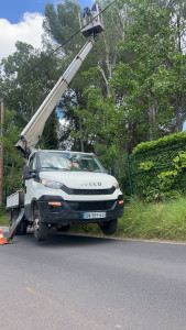 Photo de galerie - Elagage et coupe d'arbres