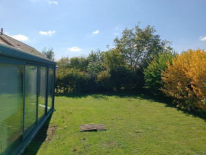 Photo de galerie - Taille de haies et d'arbustes