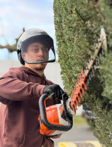 Photo de galerie - Tristan en Action sur une Haie de cyprès